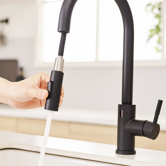 Flg Pull Down Touchless Kitchen Faucet Reviews Wayfair